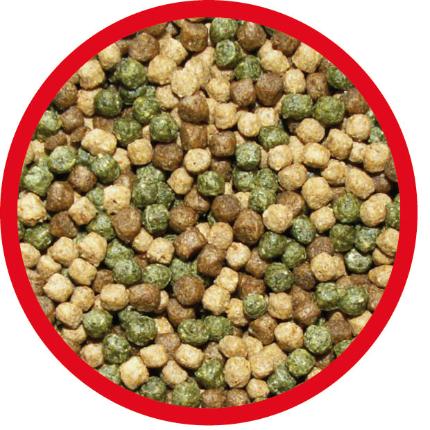 ALKOTE Profi Mix