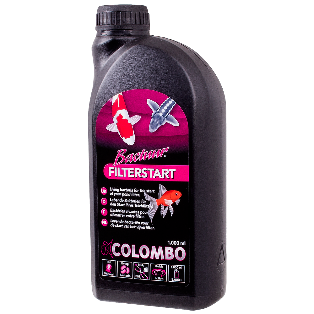 Filterstart Bakterien von Colombo