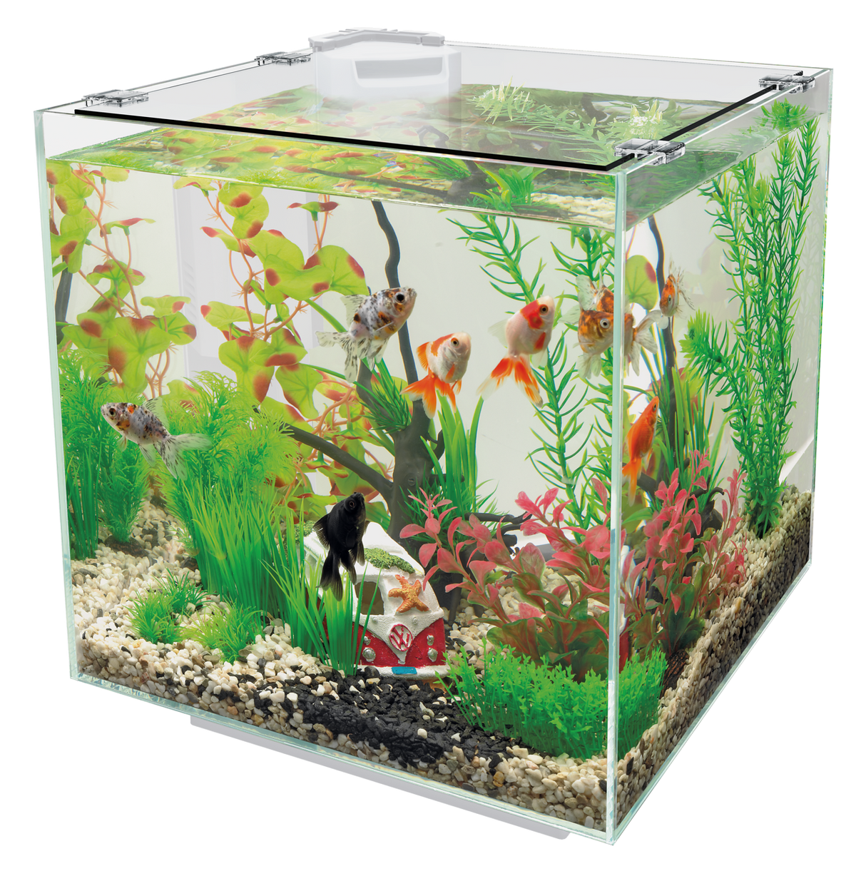 Superfish QubiQ 30
