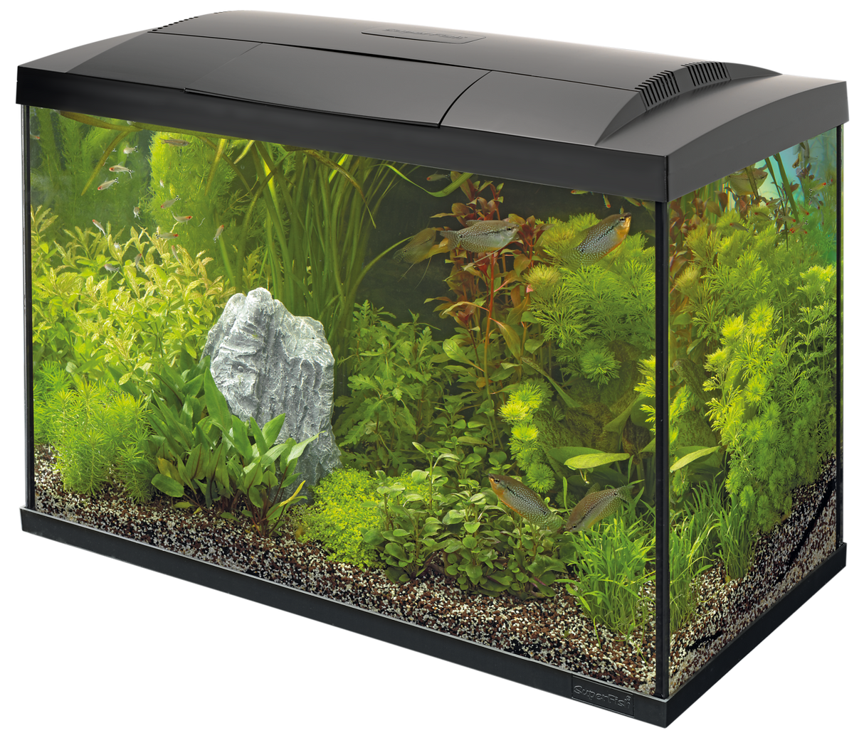 SuperFish Start Tropical Set 70 schwarz
