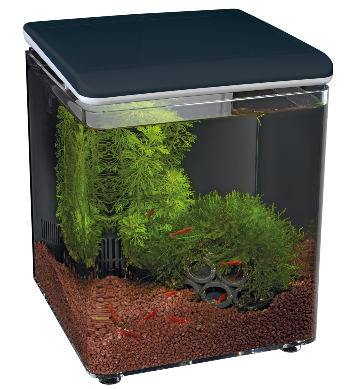 SuperFish Home 8