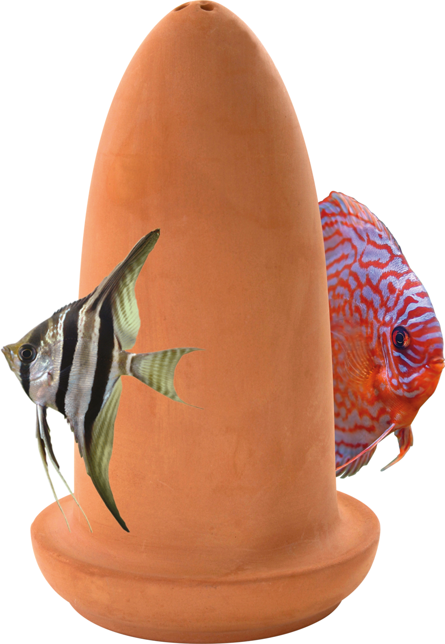 Superfish Aquarium Ablaichkegel für Discus, Skalare uvm. Laichkegel