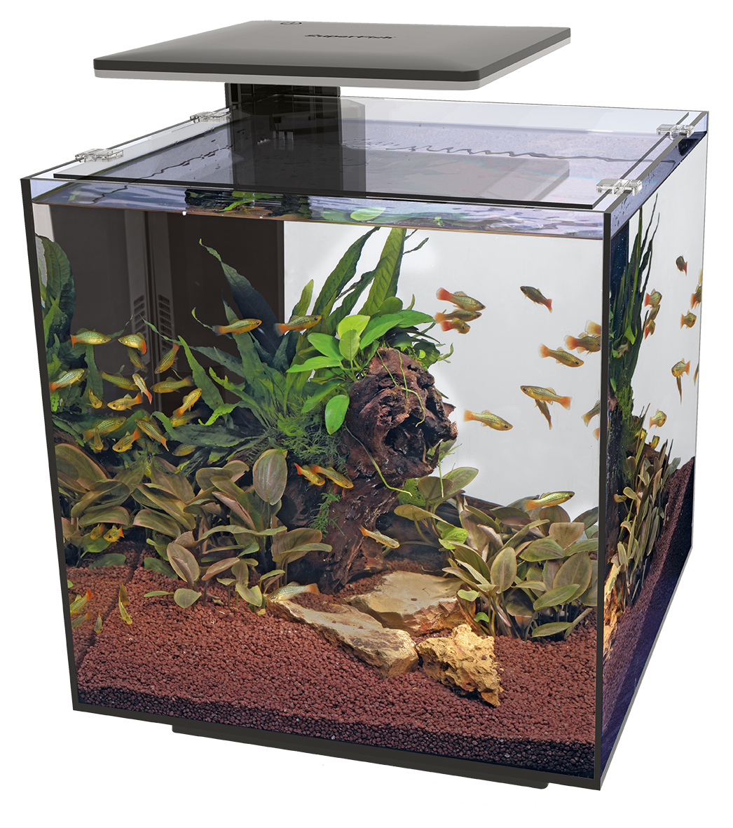 Superfish QUBIQ 60 PRO