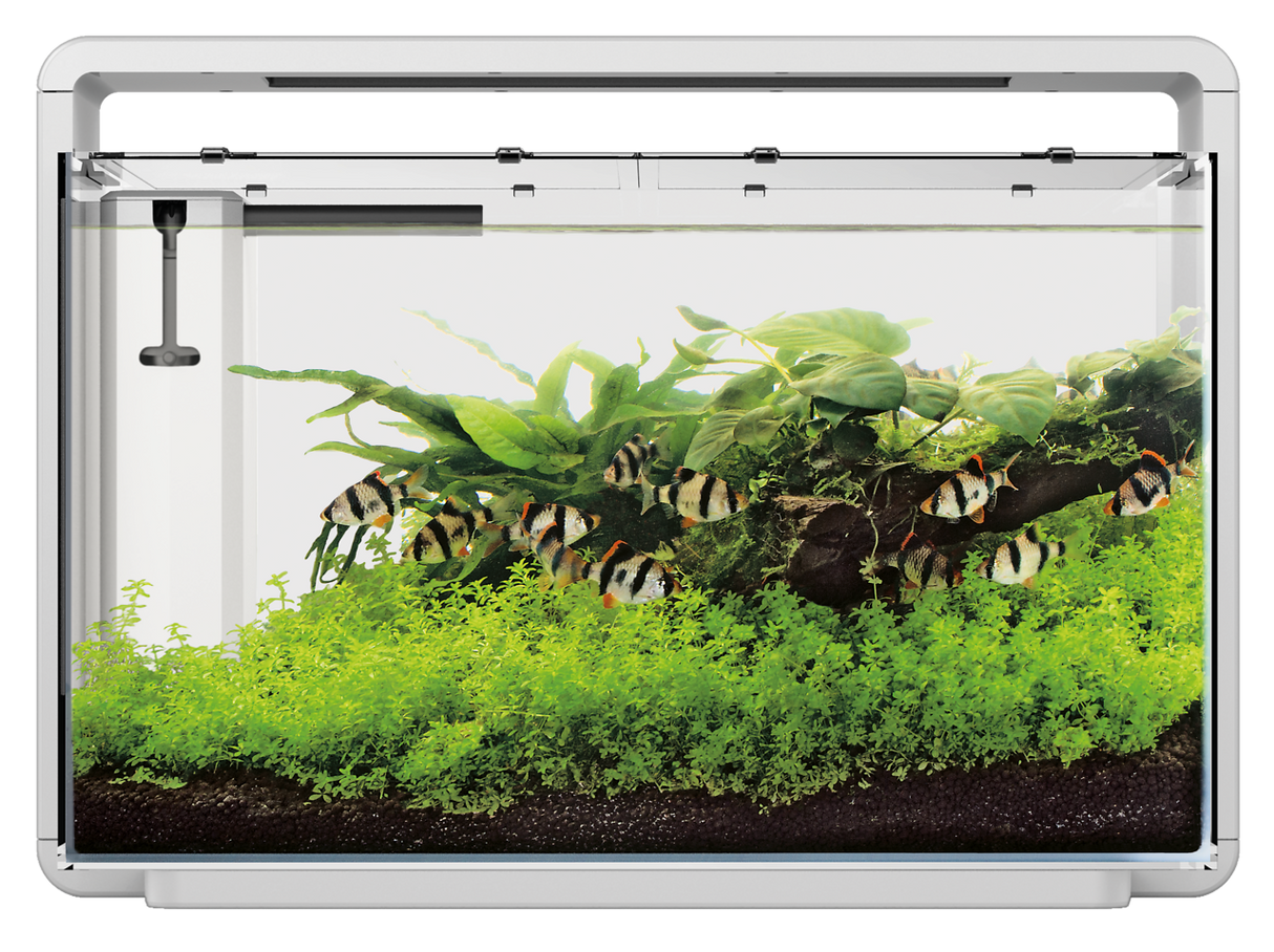 SuperFish Home Aquarium