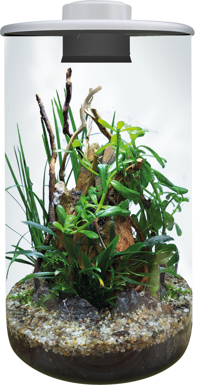 BioArt Cylinder 285 LED Nano Garden
