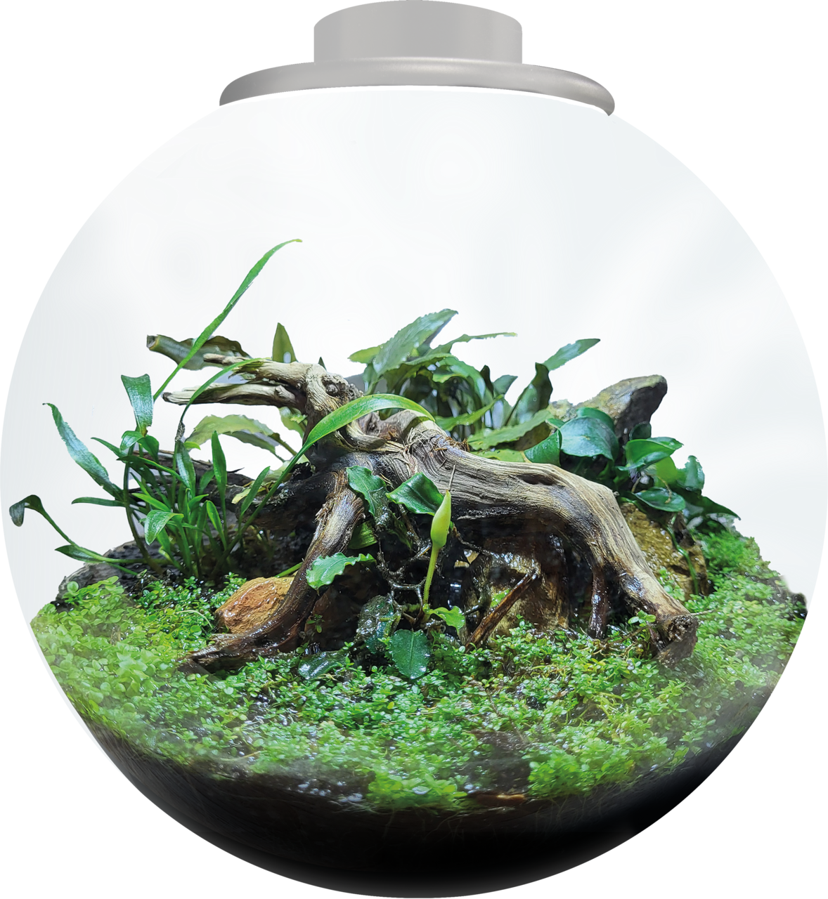 BioArt Bowl 225 LED Nano Garden