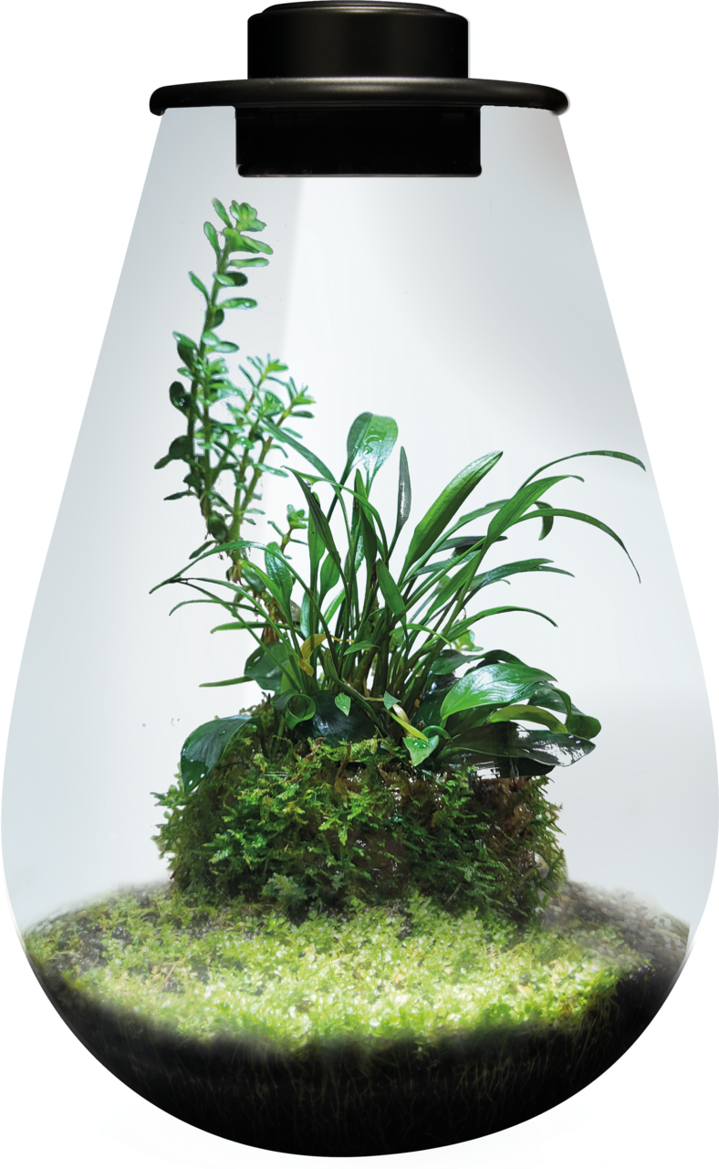 BioArt Drop 285 LED Nano Garden