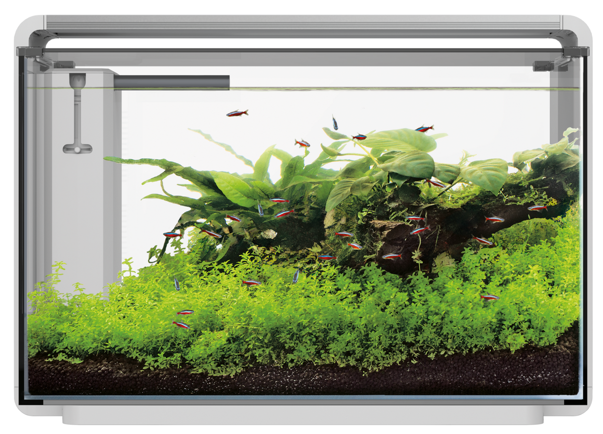 SuperFish Home ProLED Aquarium Komplettset – LED, Filter & modernes Design