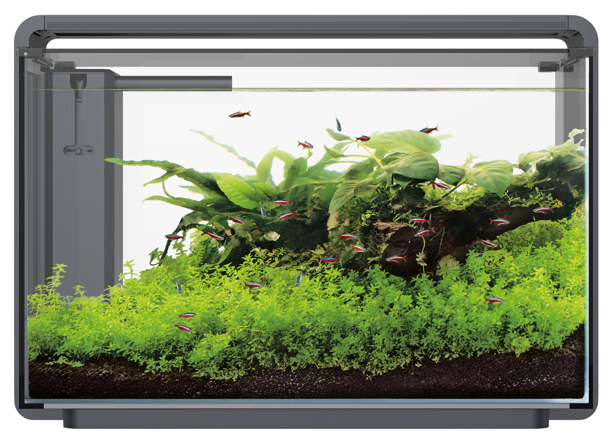 SuperFish Home ProLED Aquarium Komplettset – LED, Filter & modernes Design