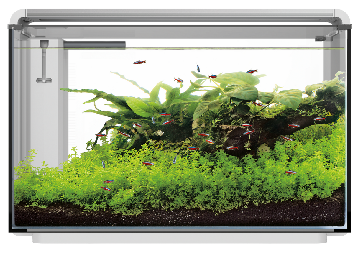 SuperFish Home ProLED Aquarium Komplettset – LED, Filter & modernes Design