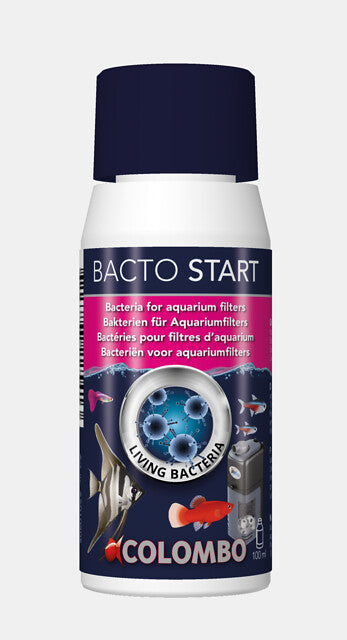 Colombo Bacto Start – Der perfekte Start für dein Aquarium!