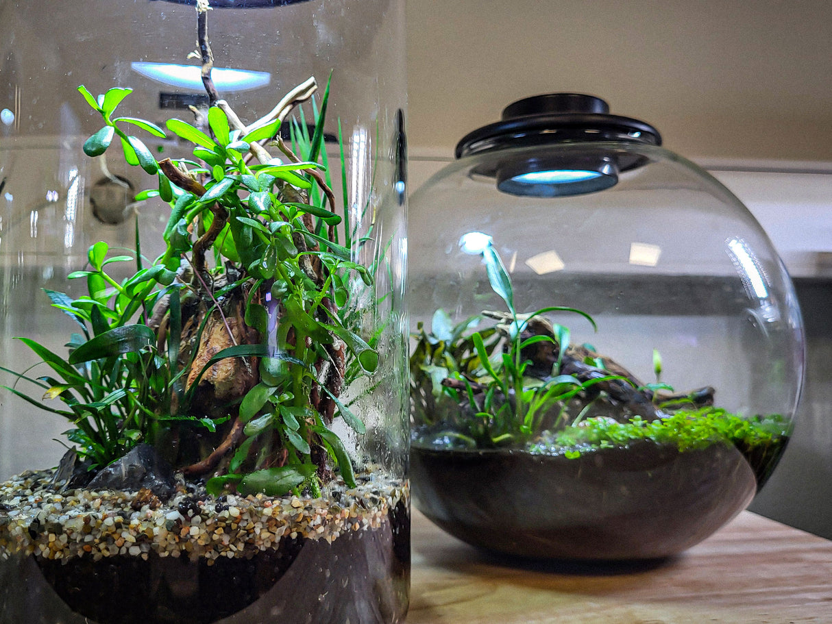 BioArt Bowl 225 LED Nano Garden