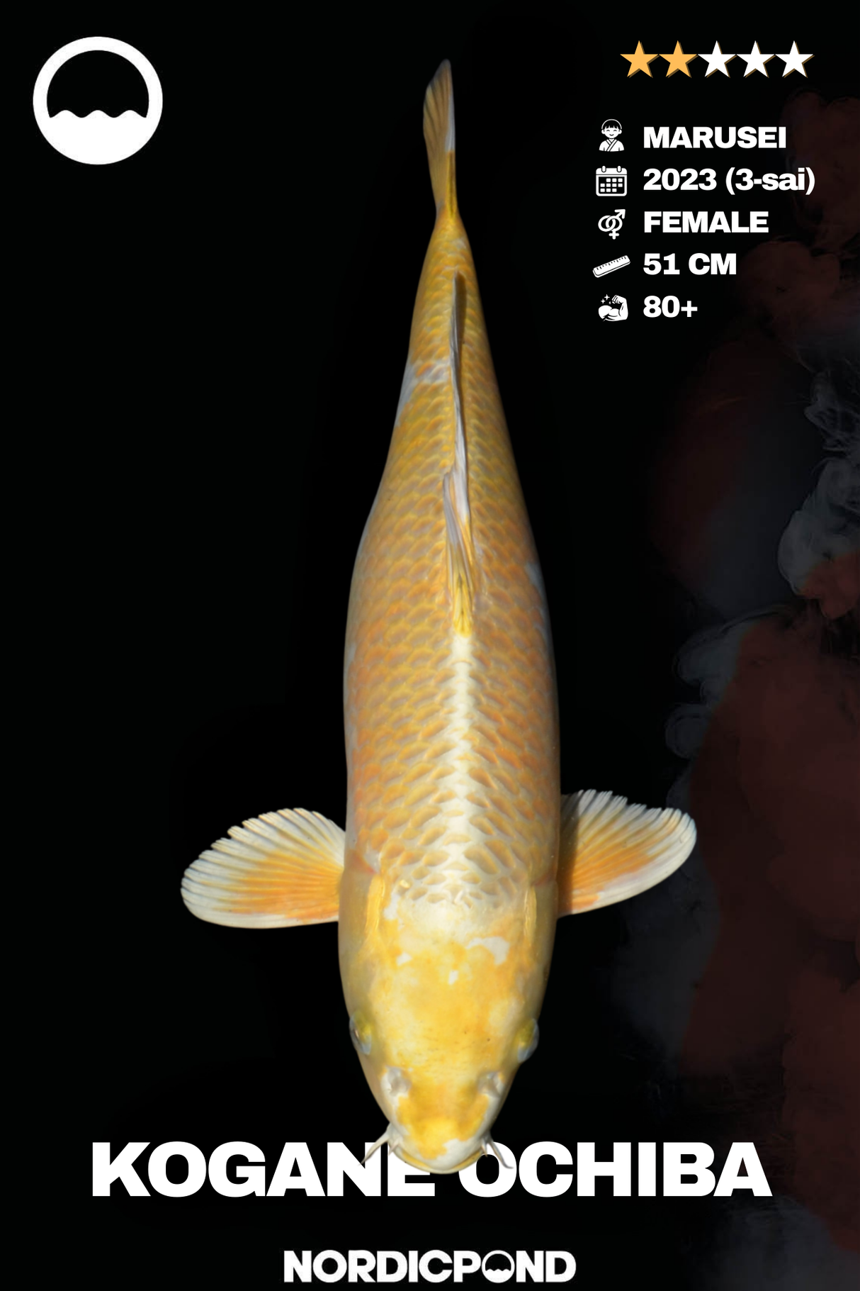 Kogane Ochiba Female