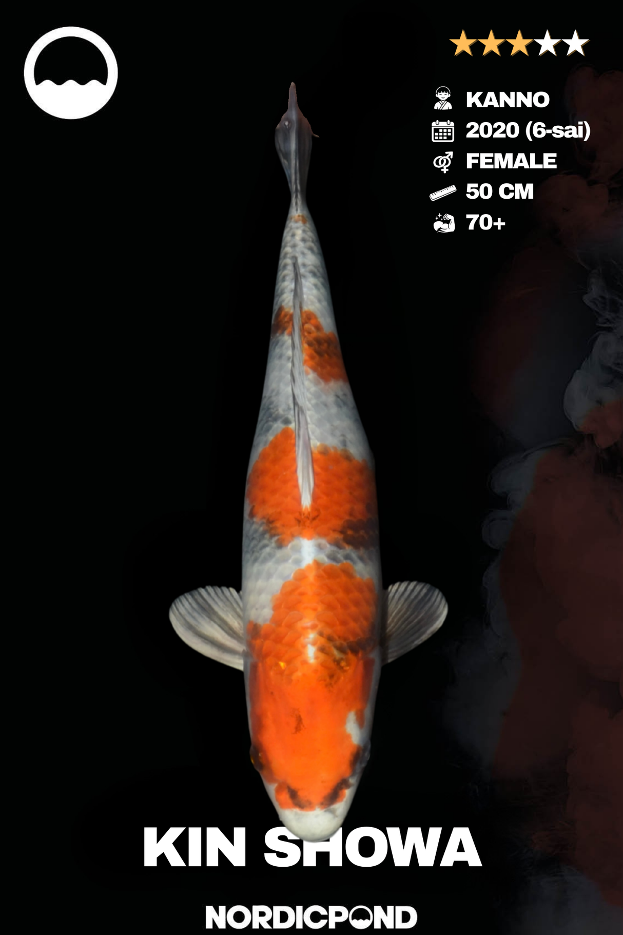 Kin Showa Female