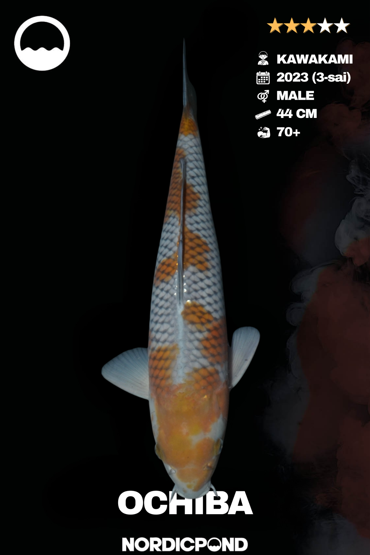 Kawakami Ochiba Male