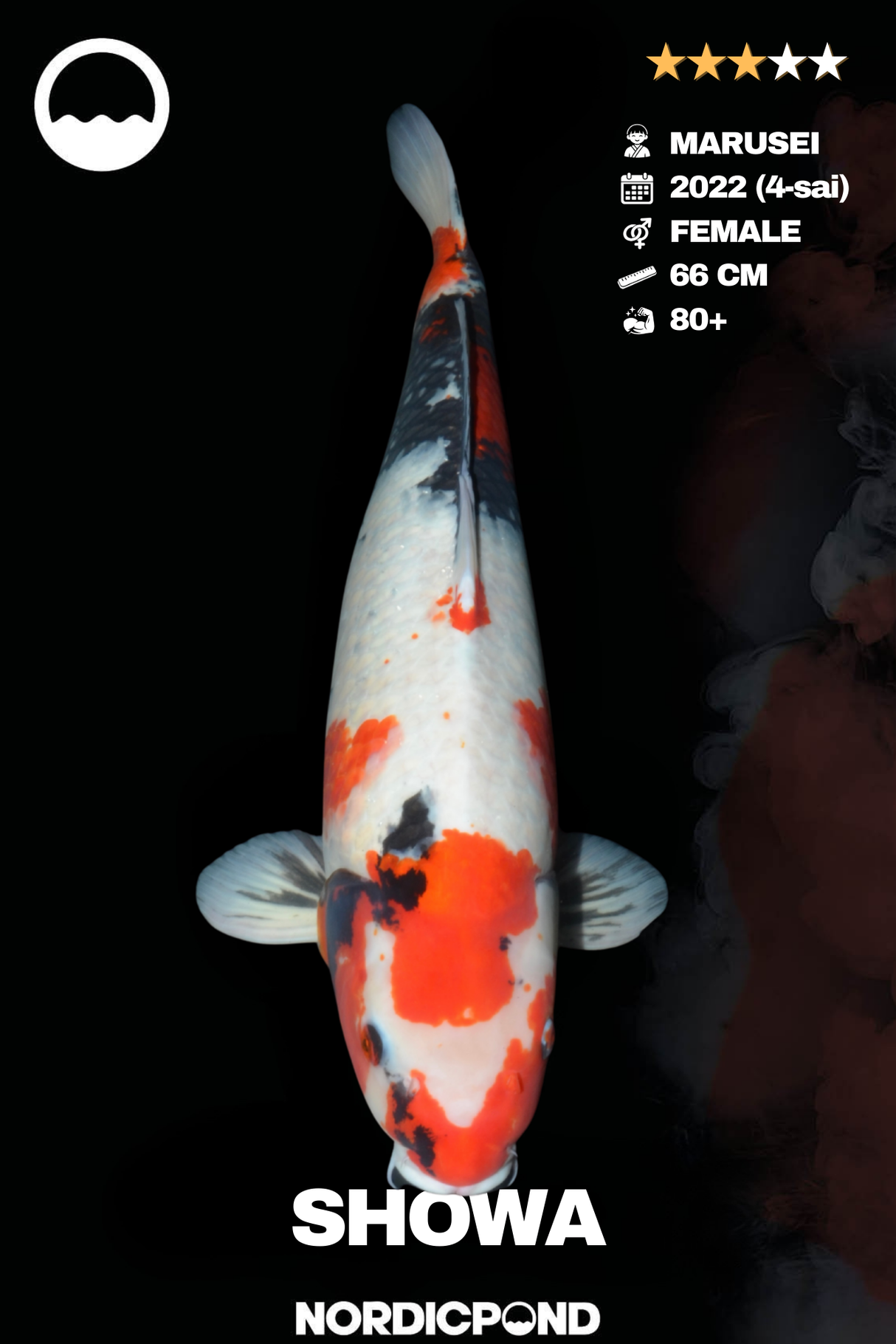 Marusei Showa Female "Joker"