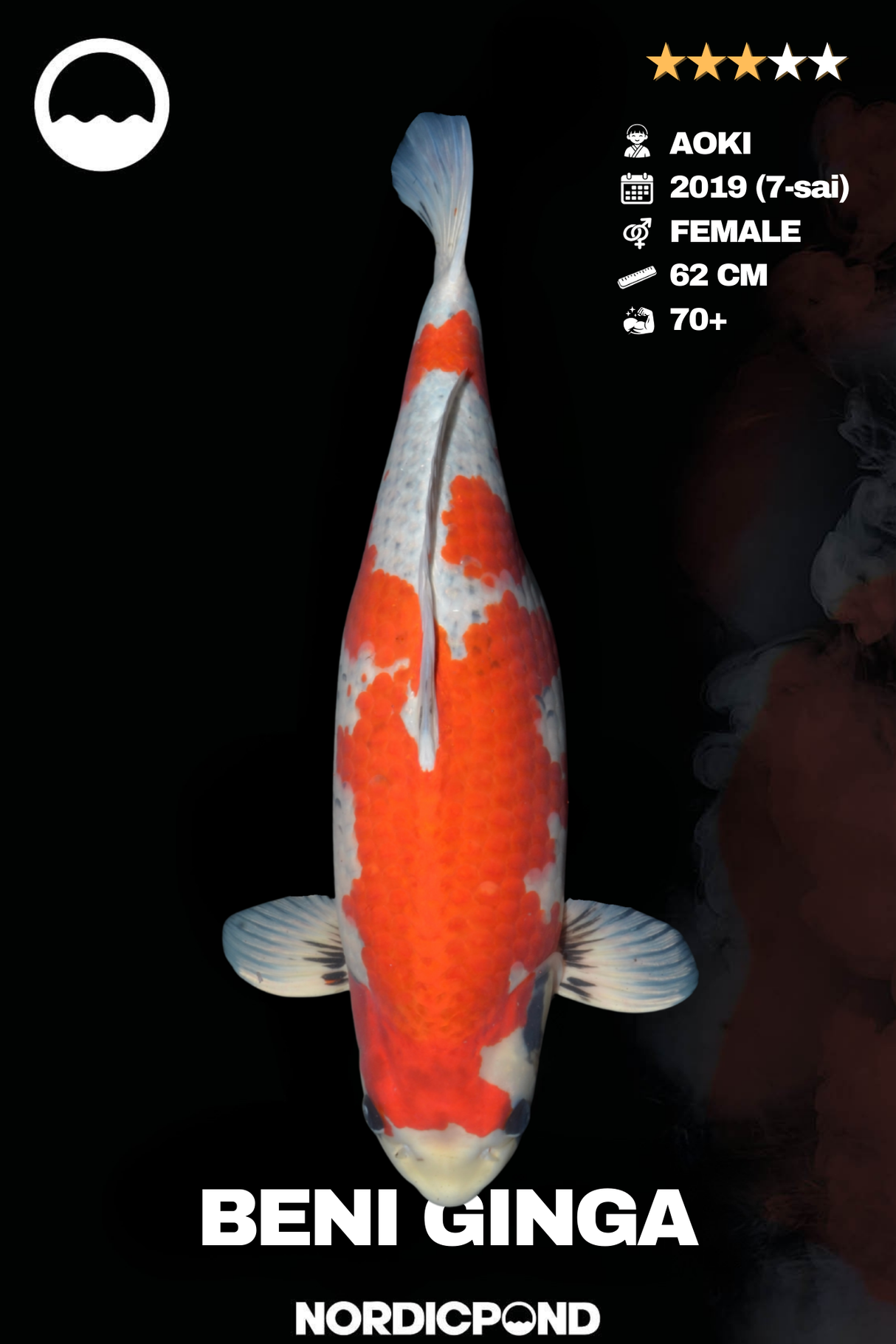 Beni Ginga Female