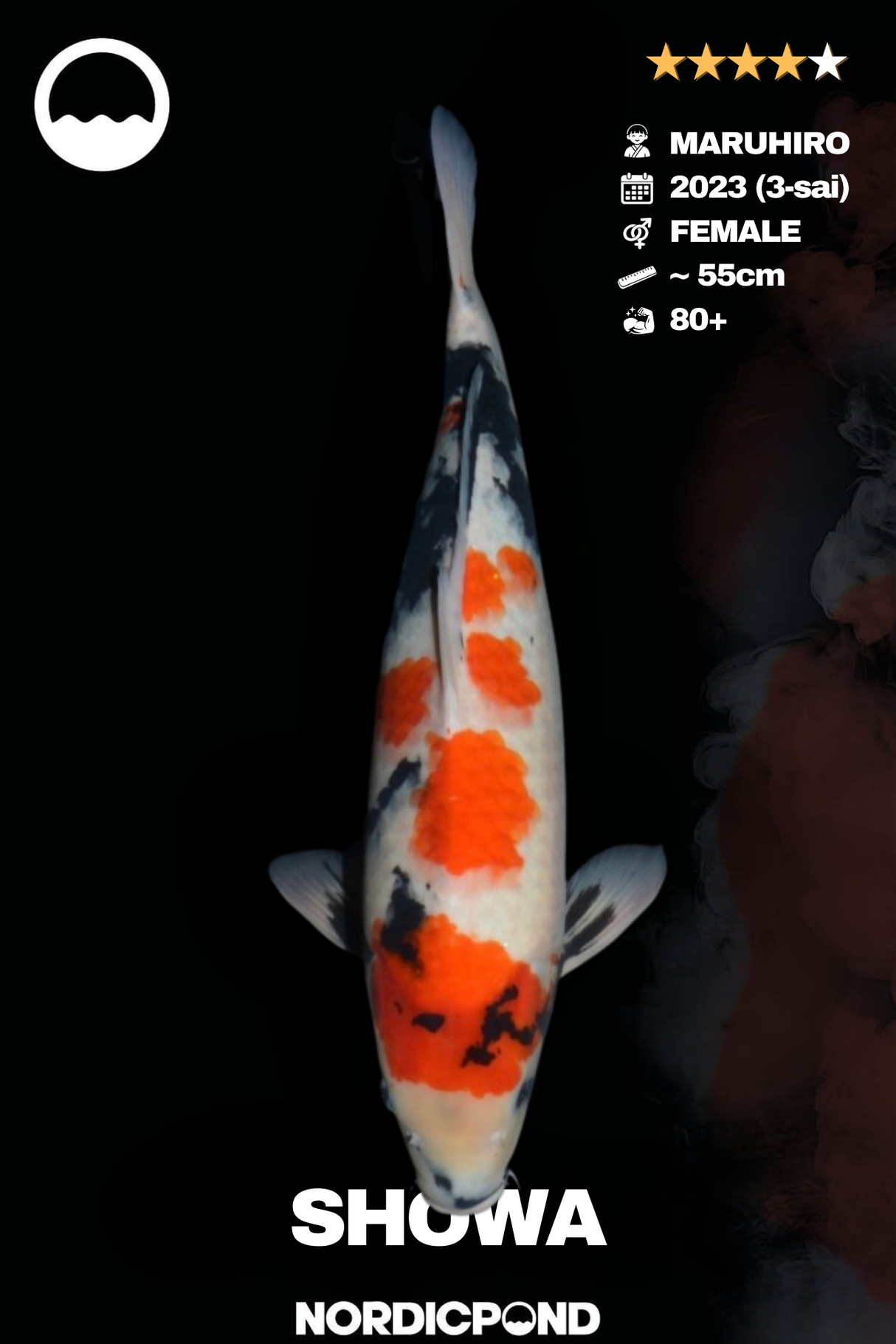 Maruhiro Showa Female
