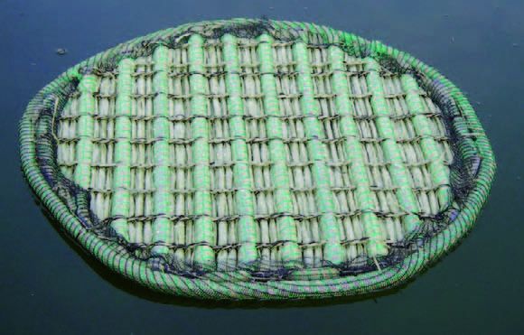 AquaForte Schwimmende Pflanzinsel