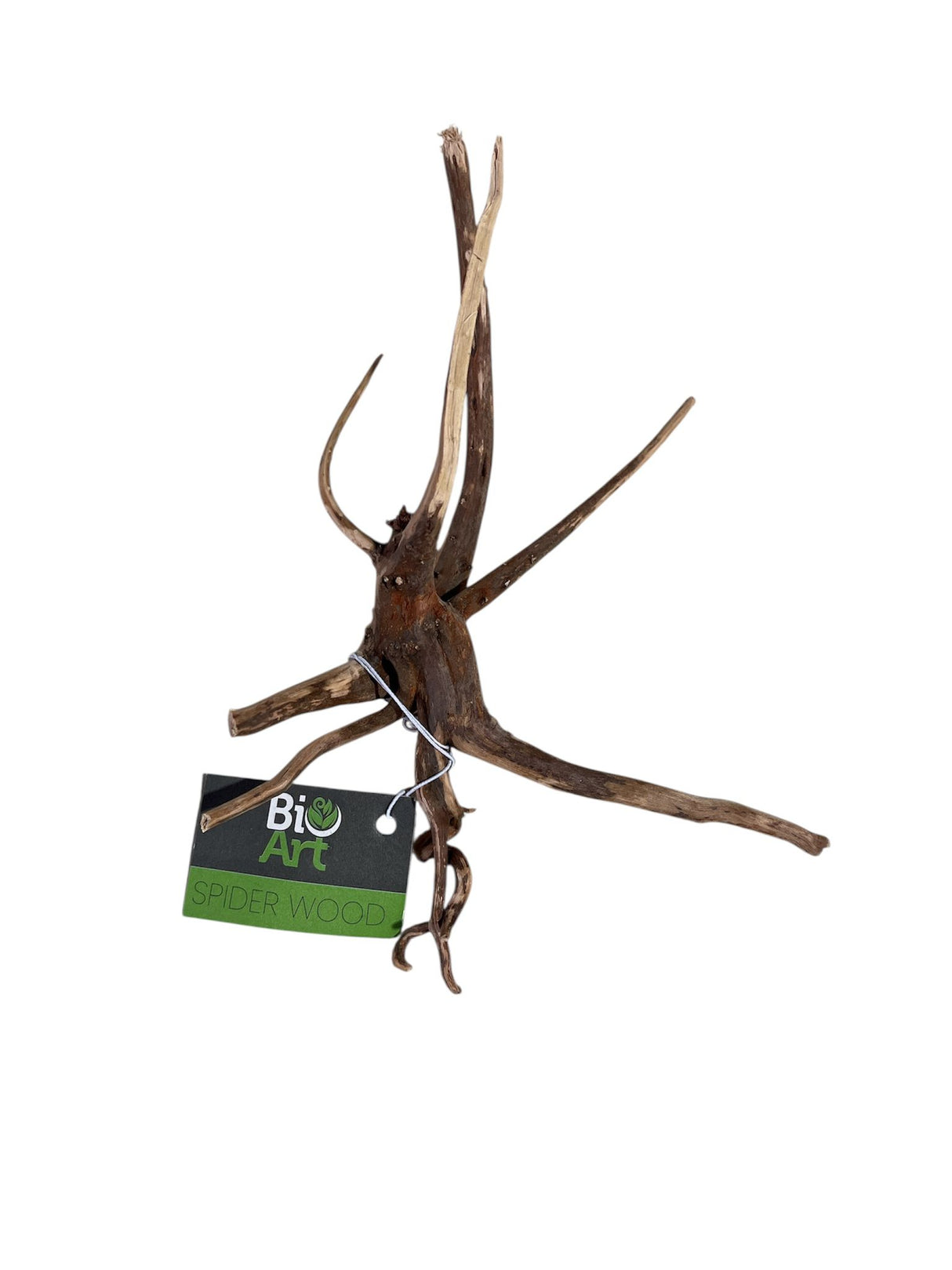 BioArt Spiderwood Naturholz