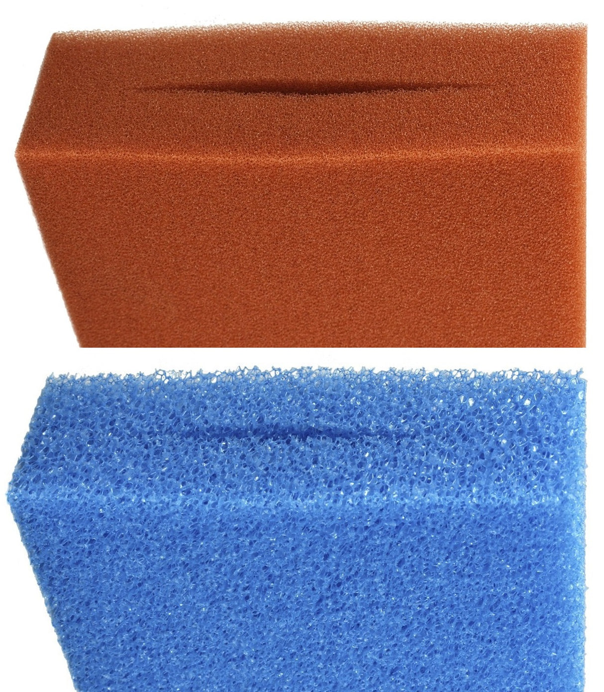 Ersatzschwamm für Oase Biotec 12 blau+rot