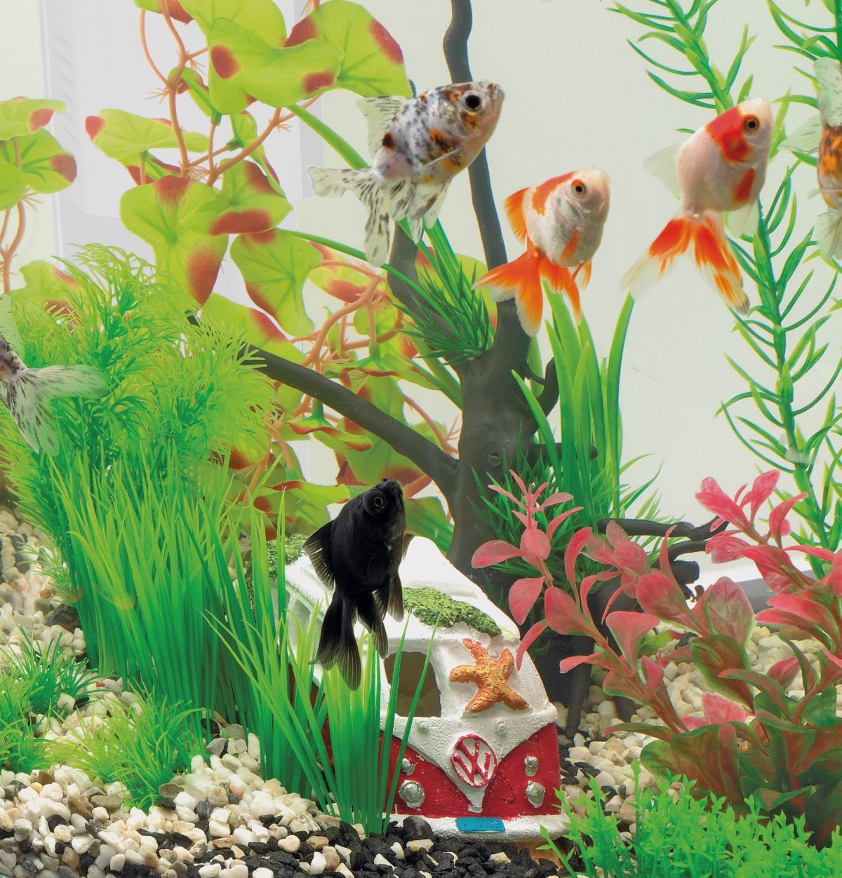 Aquarien Zubehör