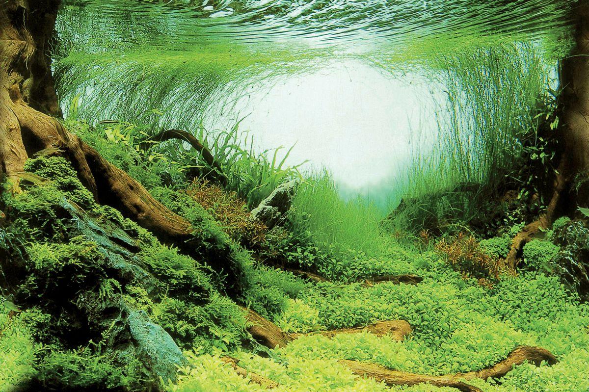 Aquarium Filter