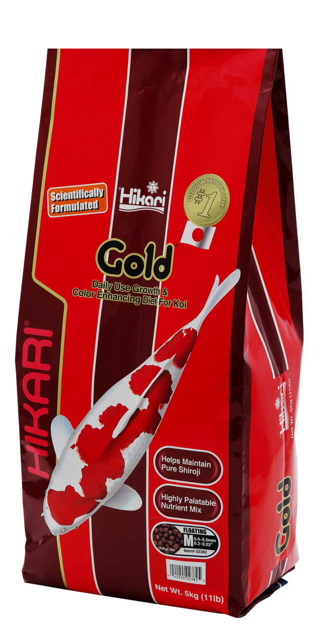 HIKARI® Gold