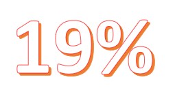 Sonstiges 19%