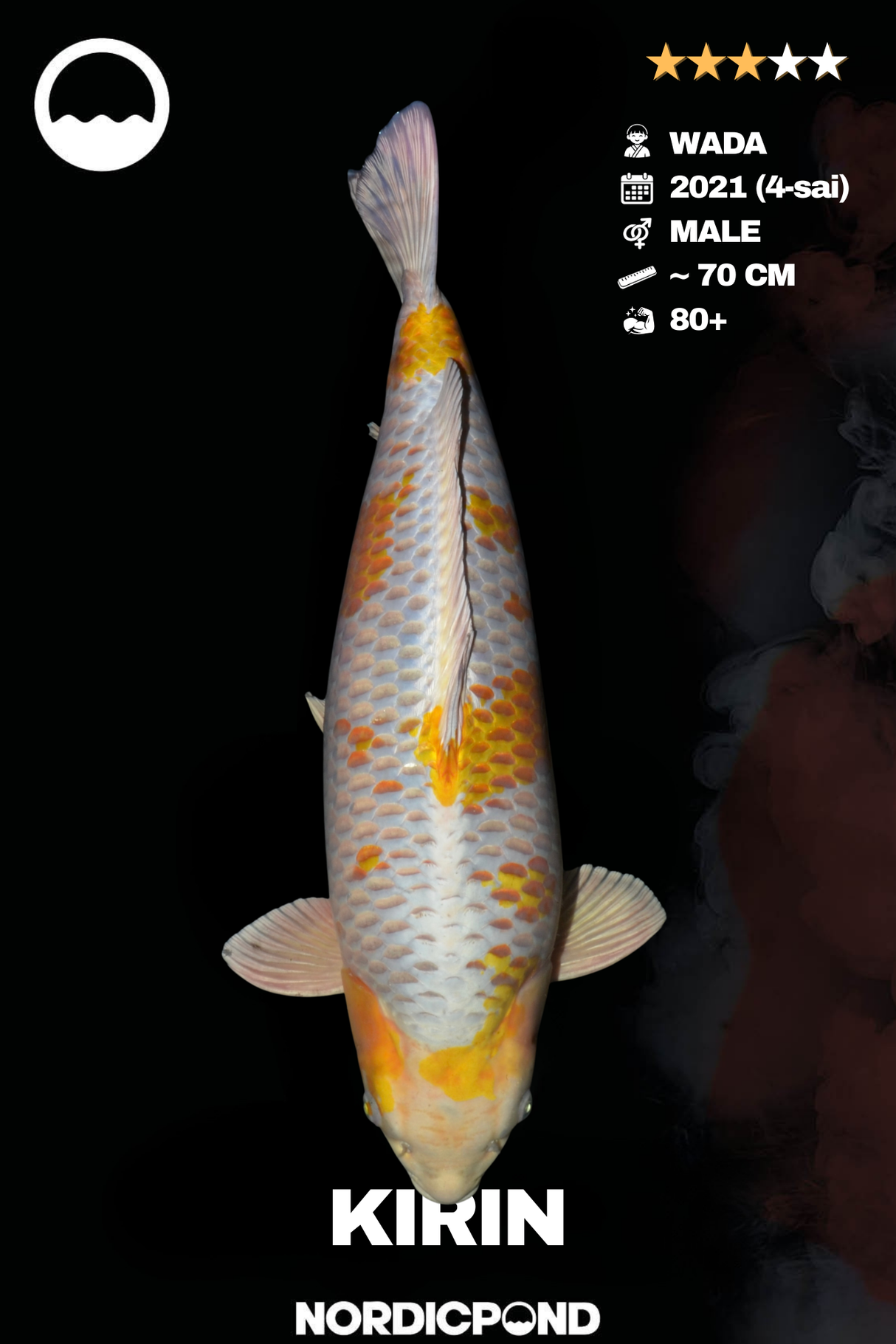 Wada Kirin Male