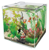 Superfish QubiQ 30