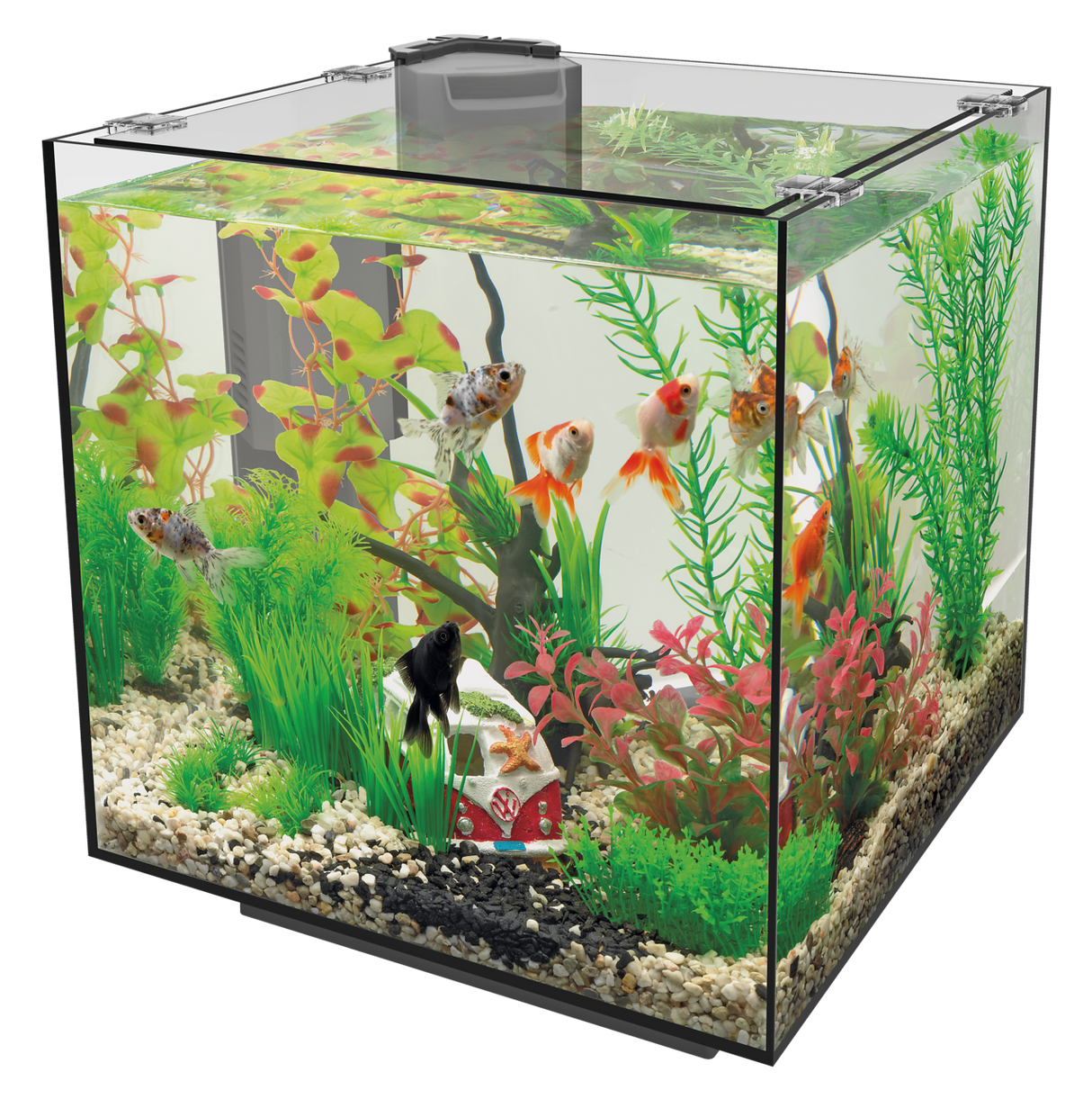 Superfish QubiQ 30