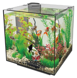 Superfish QubiQ 30
