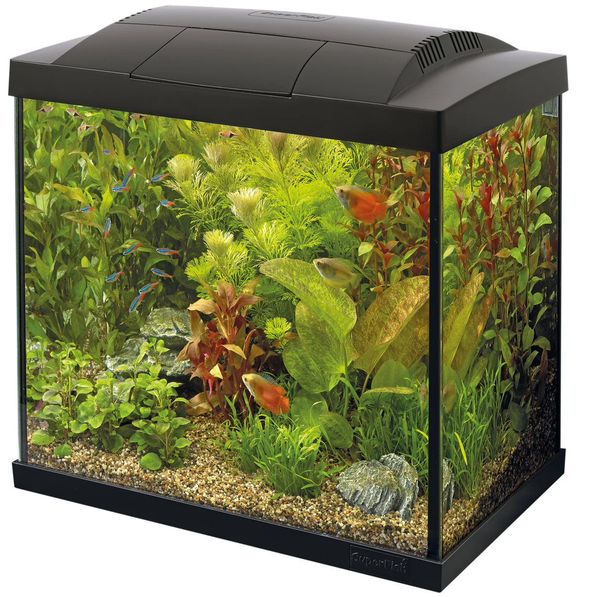 SuperFish Start Tropical Set 30 schwarz