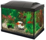 SuperFish Start 20 Aquarium Kit schwarz