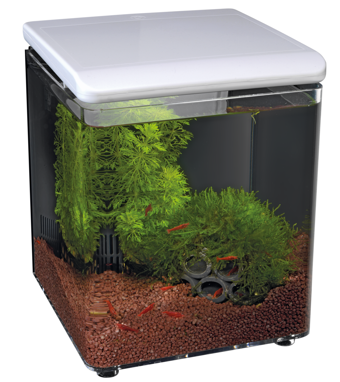 SuperFish Home 8