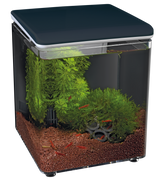 SuperFish Home 8