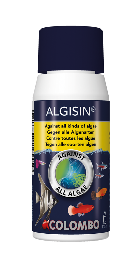 Colombo Aquarium No Algae  Algisin  Algenvernichter