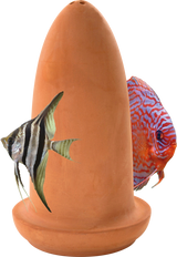 Superfish Aquarium Ablaichkegel für Discus, Skalare uvm. Laichkegel
