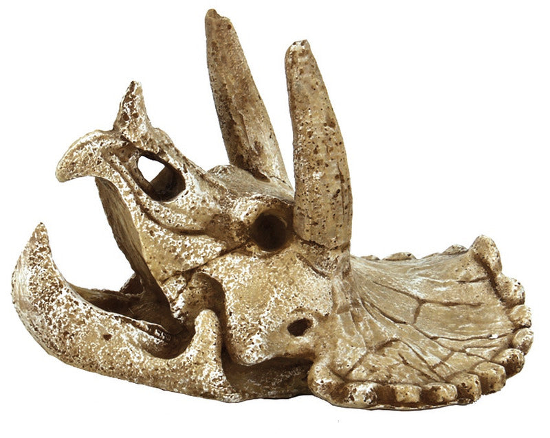 SF Skull Schädel - Triceratops Gr.M 24x10x15 cm Aquarium Dekoration