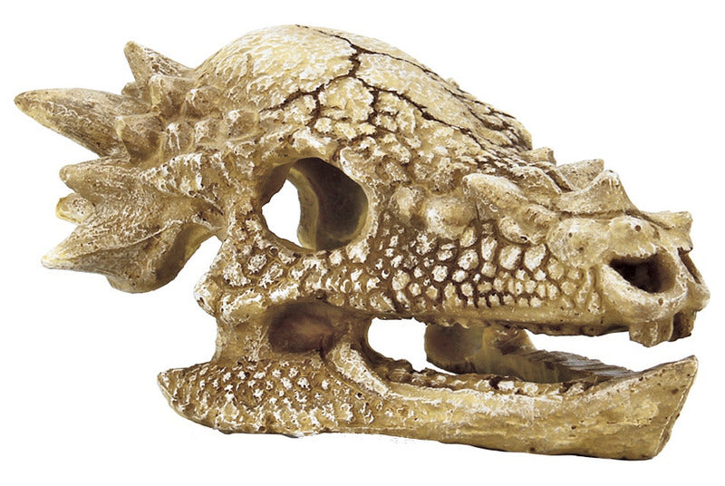 SF Skull Schädel - T-Rex Gr.M  15x11x8 cm Aquarium Dekoration
