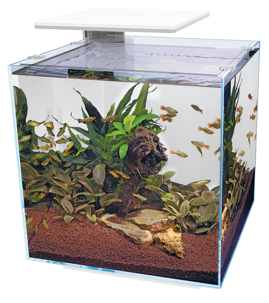 Superfish QUBIQ 60 PRO