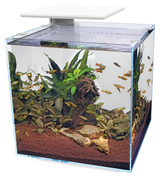 Superfish QUBIQ 60 PRO