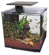 Superfish QUBIQ 60 PRO