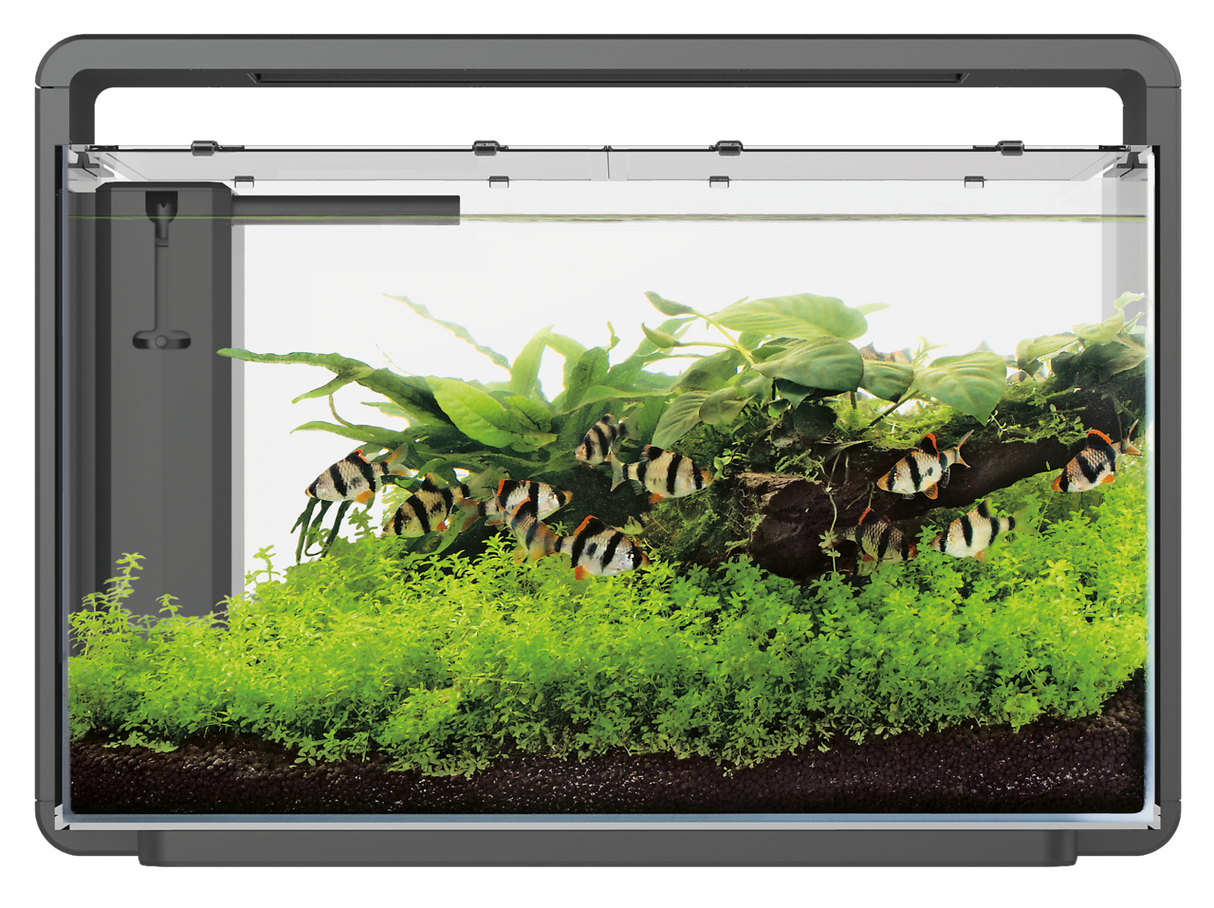 SuperFish Home Aquarium