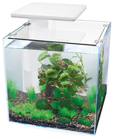 SuperFish QubiQ 30 Pro