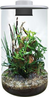 BioArt Cylinder 285 LED Nano Garden