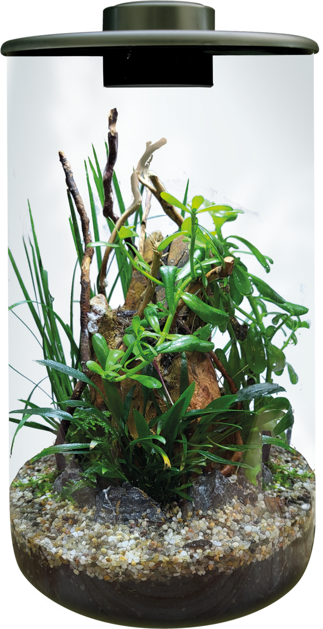 BioArt Cylinder 285 LED Nano Garden