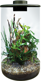 BioArt Cylinder 285 LED Nano Garden