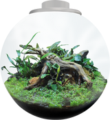 BioArt Bowl 225 LED Nano Garden
